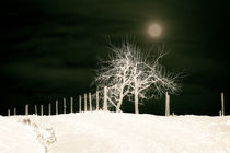Winternacht von Chris Berger