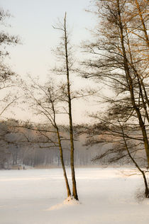 Winter an der Krumme Lanke by Marianne Drews