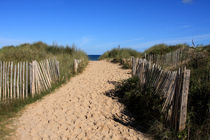 Chestnut Fence To The Beach by Aidan Moran