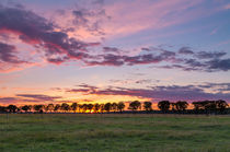 Havelland Sunset von Nick Wrobel