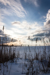 Winterhimmel über dem Feld by gilidhor