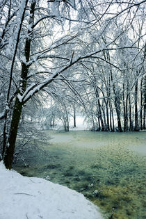 Frozen pond by Giordano Aita