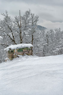 hunting cabin in the snow by Giordano Aita