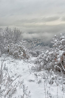 Snowy landscape by Giordano Aita