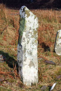 Ardkearagh Ogham Stone by Aidan Moran