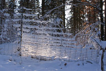 Fence by mario-s