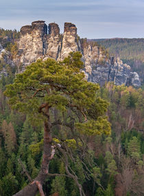 Elbsandsteingebirge von Nick Wrobel