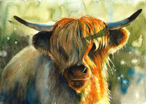 Highland cow von Tania Vasylenko