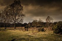 Storm Clouds at Hothfield common by Jeremy Sage