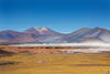 Atacama-6