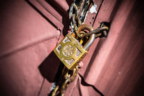 Chained doors von David Hare