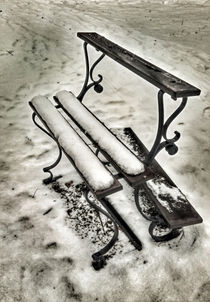 one bench in snow by Michael Naegele