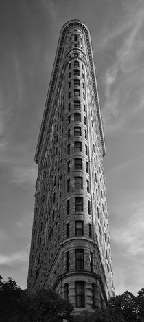 Flatiron Building NYC by Cesar Palomino
