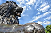 Trafalgar Square Lion. von Peter Rivron