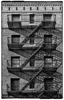 Harlem by Cesar Palomino
