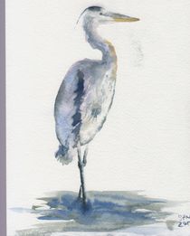 Great Blue Heron by Sandy McDermott