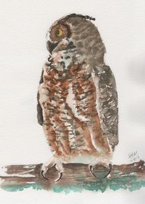Great Horned Owl 2 von Sandy McDermott