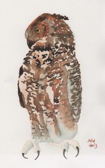 Great Horned Owl 3 von Sandy McDermott