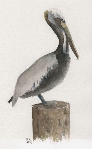 Pelican-post