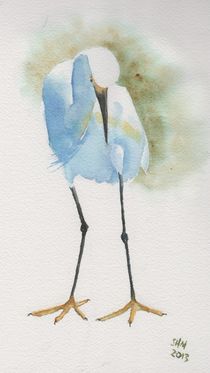 Snowy Egret 2 von Sandy McDermott
