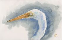 Egret Profile von Sandy McDermott