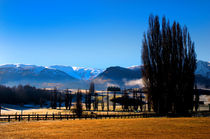 New Zealand Winter. von David Hare