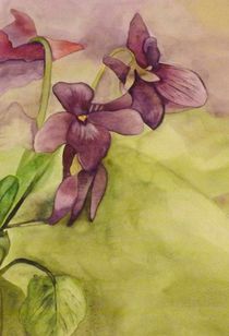 Lilies by Caroline Allen