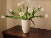 white tulips von Franziska Rullert