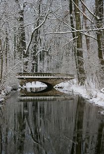Brücke im Winterwald by Bruno Schmidiger
