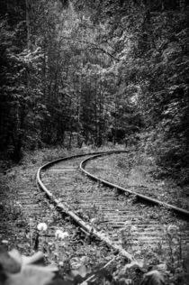 Thrown Railway by cinema4design