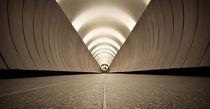 'Tunnelblick' von Tobias Ritter