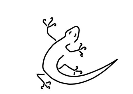 Gecko-salamander-molch-bionik