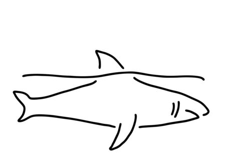 Hai-haifischflosse-meer