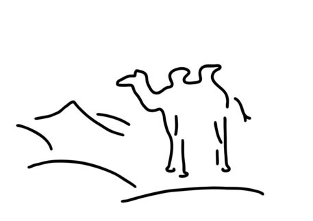 Kamel-dromedar-wueste-arabien