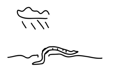 Regenwurm-wurm-erde-garten
