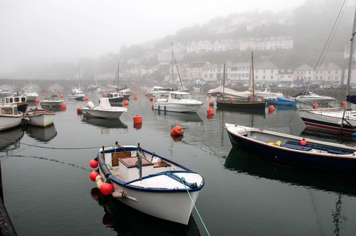 Misty-harbour