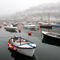 Misty-harbour