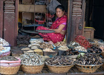 Shopkeeper in Katmandu by Liz Bugg