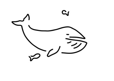 Wal-blauwal-meer