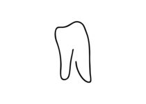 Zahn Backenzahn Zahnarzt Karies von lineamentum