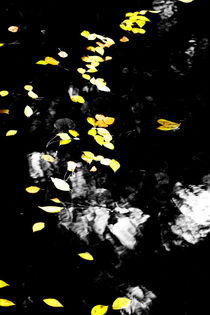 Dahinfließende Blätter von Bastian  Kienitz