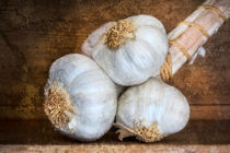 Garlic by David Hare