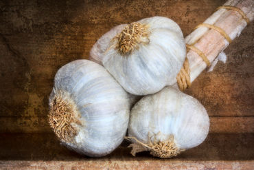 Garlic-1b