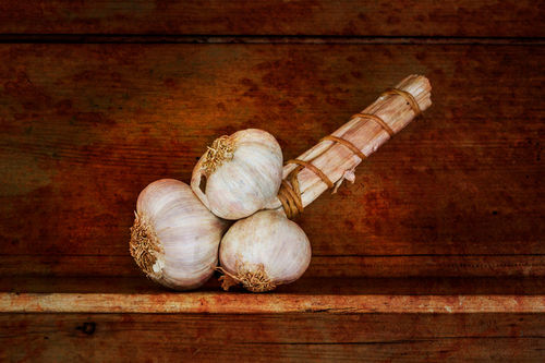 Garlic-2d