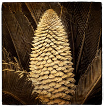 Palm von Cesar Palomino