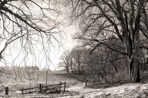 Winter Landscape by Hanns Clegg