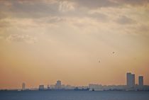 skyline Istanbul... von loewenherz-artwork