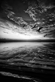 Heaven And Water B&W by florin