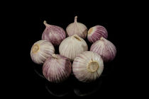 Knoblauch-Runde (Minis) by Erhard Hess
