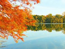 Ein goldener Herbsttag by gscheffbuch